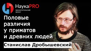 Станислав Дробышевский - Половой диморфизм у приматов и древних людей