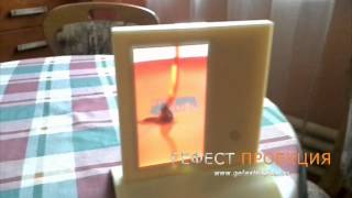 Тейбл тент компании ГЕФЕСТ ПРОЕКЦИЯ