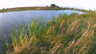 Рыбалка на щуку в сентябре.Тест колебалок с алиэкспресс.