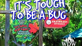 It’s Tough to Be a Bug! no Animal Kingdom