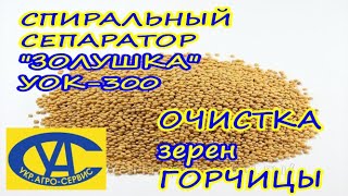 Очистка зерна горчицы от сора и примесей на спиральном сепараторе "Золушка" УОК-300