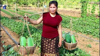 Yummy Cooking wax gourd with pork recipe by woman - cooking pork - Cooking food Ep22