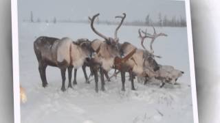 Зимняя прогулка на край Земли