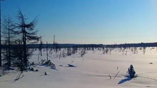 О, Ноглики!