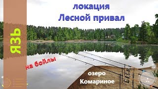 Русская рыбалка 4 - озеро Комариное - Высиживание язя