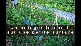 Un potager intensif sur une petite surface