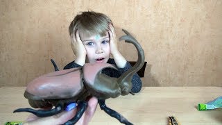 новая коллекция Скарабеи и жуки от сбабам
