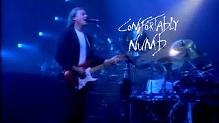 Pink Floyd -" Comfortably Numb " 1988