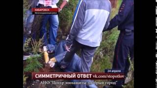 Трое хабаровчан расправились с живодером