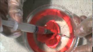 Gelatin art: Rose , Rosa, Mawar
