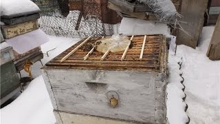 зимние работы на пасеке - пчеловод выходного дня