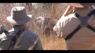 This is Africa - Episode 7 "Up Close"