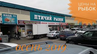 Птичий рынок Москвы: павильон аквариумистики. Цены. (осень 2019)