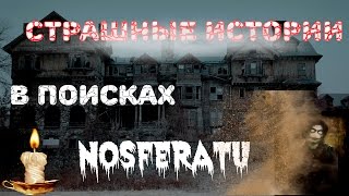 Страшные истории: В поисках NOSFERATU
