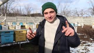 Зимовка пчел 2020 | Расплод в феврале | Облёт пчёл
