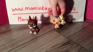 lps pet shop opět soutěž doga ZADARMO jen za hlasy :-) TAK SI HRAJTE!!!!A hLASUJTE!!! :-)