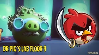 Angry Birds Fight Dr Pig's Lab Floor 9 Gameplay