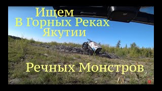 ИЩЕМ МОНСТРОВ В ГОРНЫХ РЕКАХ ЯКУТИИ.  ШЕРП В ЯКУТИИ  5 д РЫБАЛКА С ДРОНА   ДОРОГА К р ЛЕНА