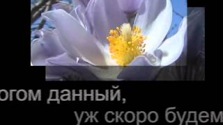 Субботний день