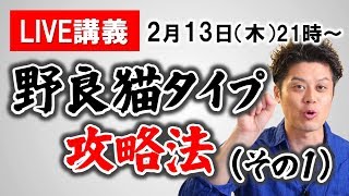 【?2月13日LIVE】野良猫タイプ攻略法（その1）～追うと逃げ、離れると追ってくる男の真実～【見るだけで男女関係がうまく行くライブ063】
