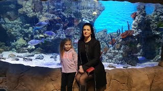 Океанариум Крокус Сити в Москве
