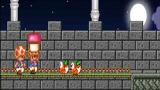 Rise Of The Mushroom Kingdom 2/2