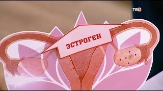 Диета по женскому циклу. Доктор И...