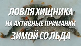 РЫБАЛКА СО ЛЬДА на ХИЩНИКА. ЩУКА, ОКУНЬ, СУДАК ЗИМОЙ на АКТИВНЫЕ ПРИМАНКИ