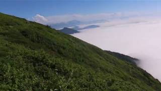 კინტრიშის დაცული ტერიტორიები | Kintrishi Protected Areas