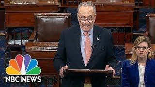 Sen. Chuck Schumer Responds To President Donald Trump’s Tweets On Diversity Visa Program | NBC News