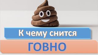 К чему снится говно (фекалии, какашки) | СОННИК