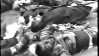 ЧКАРА ЗАРСКАЯ РЕЗНЯ 20 МАЯ 1992 ГОД