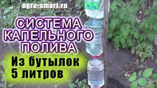 Система капельного полива Своими Руками из 3-х бутылок по 5 литров