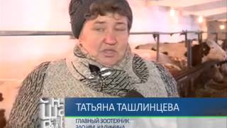 Лучшая ферма 6-03-13