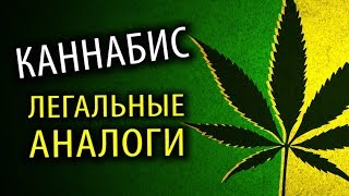 Марихуана: ЛЕГАЛЬНЫЕ Замены [Против Наркомании]