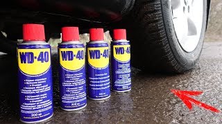 EXPERIMENT: CAR VS WD40