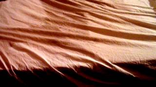 Trample my bed