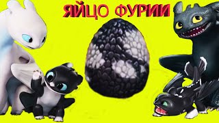 ❤️ ЯЙЦО ФУРИИ❤️ Как появились на свет МАЛЫШИ Беззубика и Дневной Фурии Ночные сияния