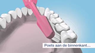 Tandenpoetsen