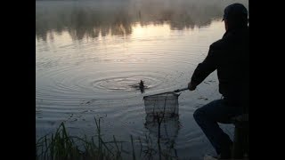 Очень чувствительный необычный поплавок своими руками.Тест на водоеме