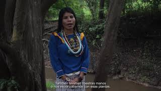 Los hermosos diseños del pueblo shipibo-konibo, entrevista a Chonon Bensho.