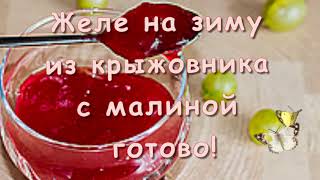 ЖЕЛЕ ИЗ МАЛИНЫ И КРЫЖОВНИКА НА ЗИМУ