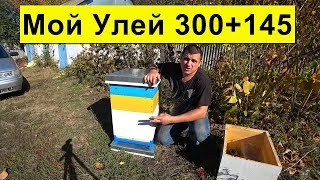 Простой Улей  ✅ Для Большой Пасеки ? 300+145