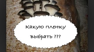 Цвет пленки для грибных блоков: черный или прозрачный (ч. 1)