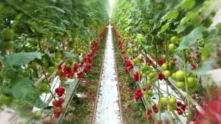 Organic Solutions - qishloq xo'jaligi sohasida loyihalar