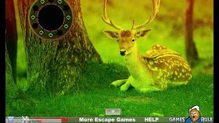 Deer Forest Escape walkthrough Games2Rule.