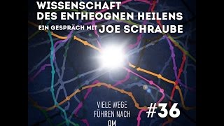Viele Wege führen nach Om: Folge 36: Die Wissenschaft des entheogenen Heilens