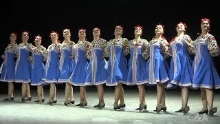 00119 Bindweed dance Вьюнок Народный танец Роза Ветров
