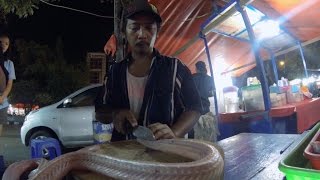 EATING COBRA SNAKE in Jakarta