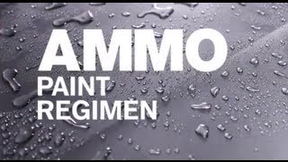 How to Use the AMMO Paint Regimen